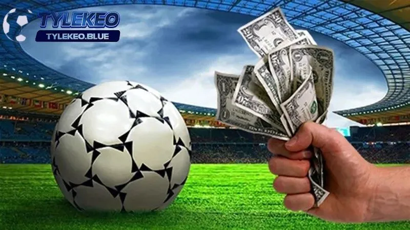 Trang chủ 110 Một vài vấn đề mà người chơi hay mắc phải