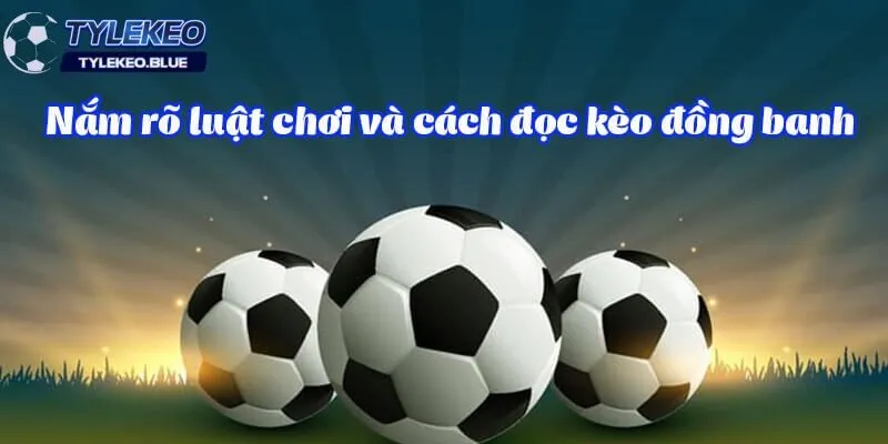 Kèo đồng banh - Bí Quyết Chinh Phục Kèo Cược Hòa Từ A Đến Z 3 Nắm rõ luật chơi là chiến thuật soi kèo hiệu quả
