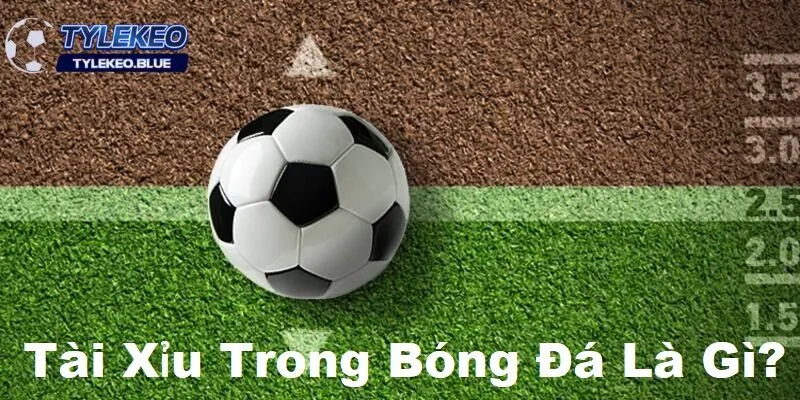 Tài xỉu trong bóng đá- Bí Quyết Chốt Kèo Thắng Từ Nhà Cái 2 Tài xỉu trong bóng đá là gì?
