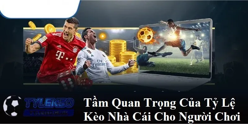 Trang chủ 99 Tầm quan trọng của tỷ lệ nhà cái cho người chơi
