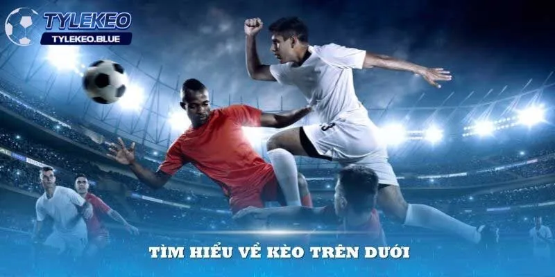 Kèo Trên Kèo Dưới - Bí Quyết Đọc Vị Tỷ Lệ Từ Nhà Cái 2 Tìm hiểu về kèo trên kèo dưới là gì?
